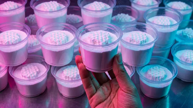 Small cups of baking soda on a kitchen counter